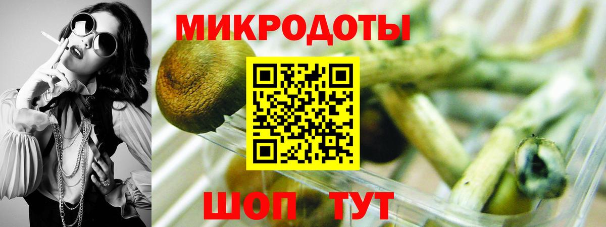 Галлюциногенные грибы мицелий Волгодонск