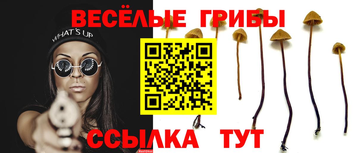 Псилоцибиновые грибы Magic Shrooms  Вход с VPN  Волгодонск  Псилоцибиновые грибы MAGIC MUSHROOMS 